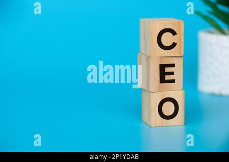 Testo del CEO su blocchi di legno con spazio personalizzabile per testo o idee. CEO e concetto di spazio di copia. Foto Stock
