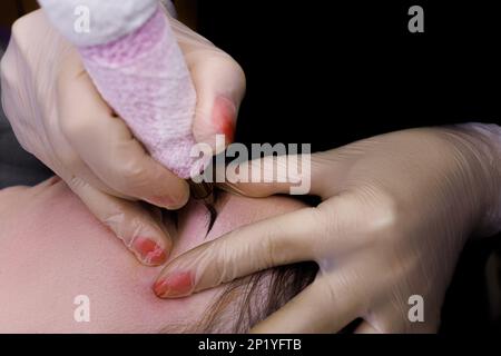 Le mani di un maestro permanente di trucco sopracciglia, il maestro esegue tatuaggio sopracciglia utilizzando una macchina tatuaggio. Foto Stock