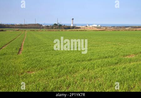 Nucleare di Sellafield impianto di ritrattamento di Cumbria Inghilterra England Regno Unito Foto Stock