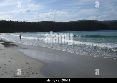 Baia Fortescue guardando verso Bivouac Bay e Capo nola e Capo Hauy (di fronte al promontorio), Tasman penisola Tasmania Foto Stock