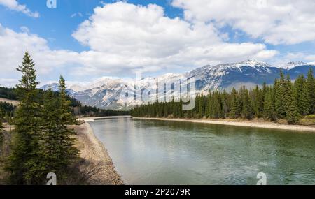 Canadian Rockies Jasper National Park, splendido paesaggio naturale. Fiume Athabasca, montagne innevate in estate. Alberta, Canada. Foto Stock