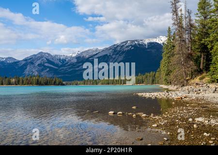 Spiaggia del lago Annette, il Jasper National Park offre splendidi paesaggi naturali in estate. Paesaggio delle Montagne Rocciose Canadesi, Alberta, Canada. Foto Stock
