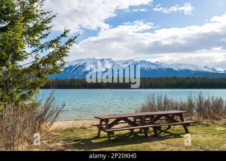 Spiaggia e panchina del lago Annette, il Jasper National Park offre splendidi paesaggi naturali in estate. Paesaggio delle Montagne Rocciose Canadesi, Alberta, Canada. Foto Stock