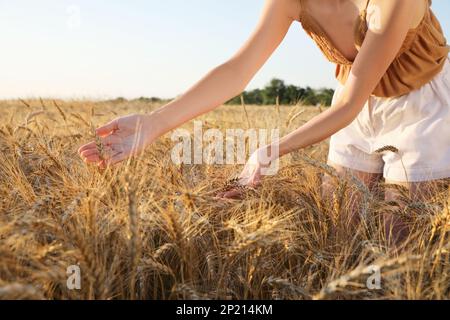 Donna in campo di spikelets di grano maturo, primo piano Foto Stock