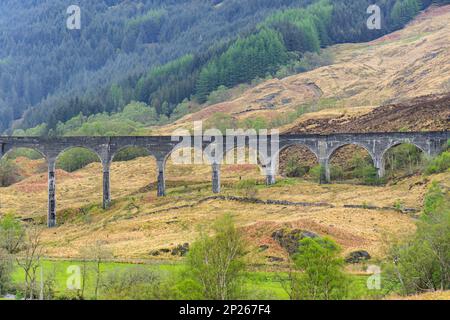 Il viadotto Glenfinnan è un viadotto ferroviario sul West Highland Line in Glenfinnan, Inverness-shire, Scozia. Foto Stock