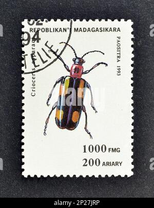 Francobollo annullato stampato dal Madagascar, che mostra il Beetle Asparagi comuni (Crioceris asparagi), circa 1993. Foto Stock