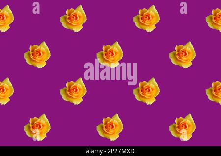 Senza cuciture modello di rosa gialla fiorente su uva sfondo viola Foto Stock