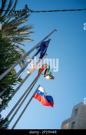 Ramallah, Ramallah e al-Bireh Governatorato, Palestina, 20 luglio 2022: Varie bandiere sugli alti polacchi di palme nel paesaggio di Ramallah contro il cielo blu Foto Stock