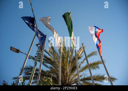 Ramallah, Ramallah e al-Bireh Governatorato, Palestina, 20 luglio 2022: Varie bandiere sugli alti polacchi di palme nel paesaggio di Ramallah contro il cielo blu Foto Stock