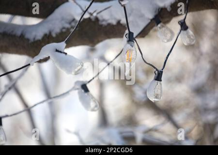 Le luci del cortile drappeggiato nella neve pesante in Bloomfield Hills, MI dopo una tempesta di inverno Foto Stock