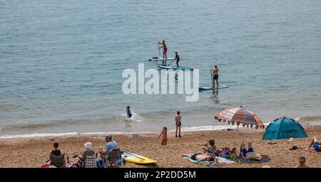 Persone paddle boarding sulla spiaggia di Seatown in estate sulla costa di Jurassic, Dorset, Inghilterra, Regno Unito Foto Stock