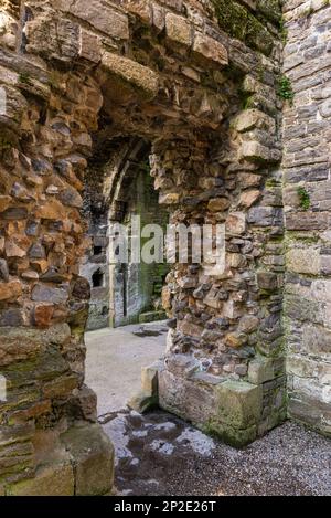 All'interno delle rovine del Castello di Beaumaris, Anglesey, Galles del Nord. Foto Stock