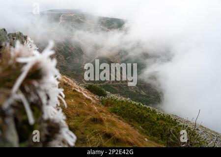 Ampio panorama montano sui Monti Karkonosze. Montagne polacche Foto Stock