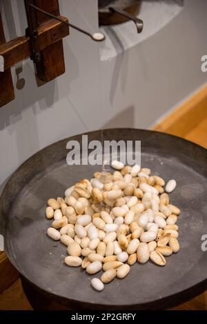 Sericoltura processo di produzione della seta passo per passo Foto Stock