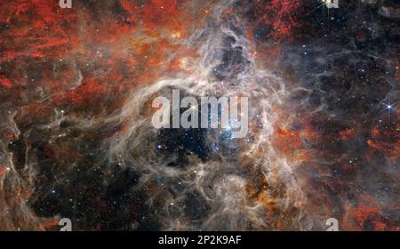 In questa immagine che si estende per 340 anni luce, la telecamera WebbÕs Near-Infrared (NIRCam) visualizza la regione di Tarantula Nebula che forma le stelle in una nuova luce, incluse decine di migliaia di giovani stelle mai viste prima che erano precedentemente avvolte nella polvere cosmica. Questa è l'immagine con risoluzione highestÊavailable di questo mosaico. La regione più attiva sembra scintillare di enormi stelle giovani, che appaiono di un blu pallido. Sparsi tra di loro sono ancora inglobate stelle, che appaiono rosse, ancora da emergere dal polveroso bozzolo della nebulosa. Crediti: NASA, ESA, CSA, STSci, Webb ero team Foto Stock