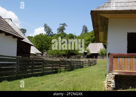 Il Muzeul Astra National Museum Complex a Sibiu, Romania, mostra i mulini rumeni e la storia dell'agricoltura. Foto Stock