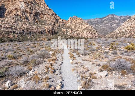 I sentieri escursionistici si trovano in tutto il Red Rock Canyon a Las Vegas, che offrono agli avventurieri l'accesso alla remota natura selvaggia dell'area protetta. Foto Stock