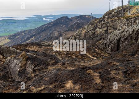 Il Monte Gabriel West Cork Irlanda ha segnato la Terra dopo che Gorse Fire ha bruciato la vegetazione di montagna Foto Stock