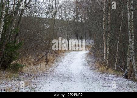 Una strada di contea tra alberi durante l'inverno Foto Stock