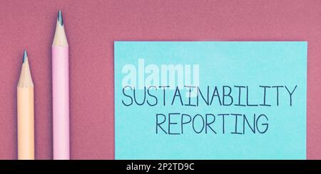 Segno di testo che mostra Sustainability Reporting. Concetto che significa dare informazioni prestazioni ambientali economiche Foto Stock