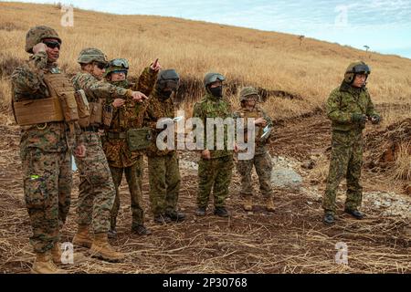 U.S.A. Marines con squadrone a piastrellatore medio marino 262 (rinforzato), unità di spedizione marina 31st, E i soldati con il 1st Regimental Landing Team che supporta 1st Reggimento Amfibio Rapid Deployment, Giappone Ground Self-Defense Force, coordinano le pratiche congiunte di rifornimento per gli aerei in un punto di armamento e rifornimento durante il Iron Fist 23 a Hijudai, Giappone, 17 febbraio 2023. I soldati Marines e JGSDF hanno utilizzato la FARP come punto operativo per rifornire e riarmare gli aeromobili al di fuori di una base operativa in avanti. STATI UNITI Marines con il 31st MEU e membri del 1st Anfibio Rapid Deployment R Foto Stock