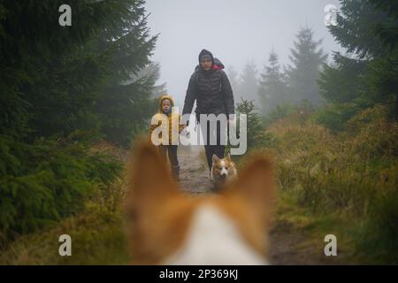 Vista della madre con il figlio e il cane che cammina su un sentiero bagnato di montagna dal punto di vista della testa del cane. Vista da tra le orecchie del cane. Poli Foto Stock