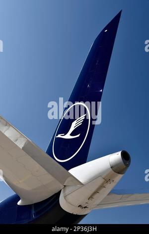 Lufthansa Airbus A350-900 Nuova livrea, aeroporto di Monaco, alta Baviera, Baviera, Germania Foto Stock