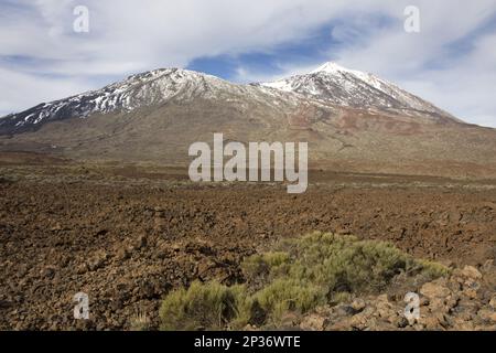 Vista del paesaggio del vulcano inattivo, Teide, Teide N.P., Tenerife, Isole Canarie Foto Stock