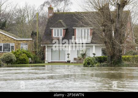Alluvioni nel giardino domestico durante l'alluvione del fiume, Tamigi, Chertsey, Surrey, Inghilterra, Febbraio 2014 Foto Stock