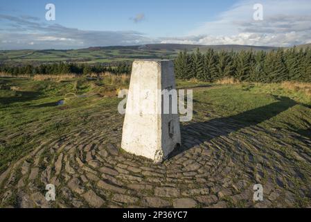 Faro sulla cima di Fell, Beacon Fell, Goosnargh, Foresta di Bowland, Lancashire, Inghilterra, Regno Unito Foto Stock