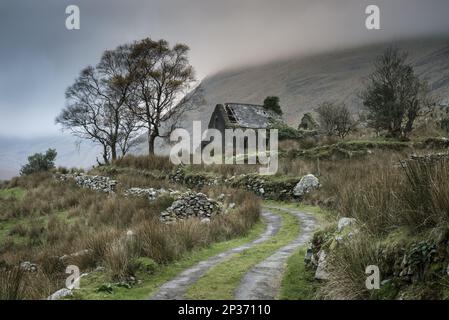 Vista sui muri a secco e sulla fattoria abbandonata, Black Valley, Macgillycuddy's Reeks, Killarney, County Kerry, Munster, Irlanda Foto Stock