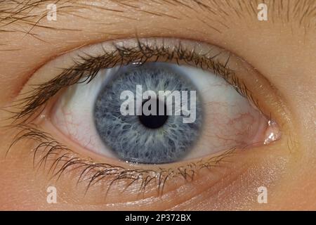 Uomo, primo piano dell'occhio Foto Stock