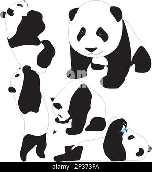 Panda neonati, sagome vettoriali cuccioli isolati su sfondo bianco. A strati Illustrazione Vettoriale