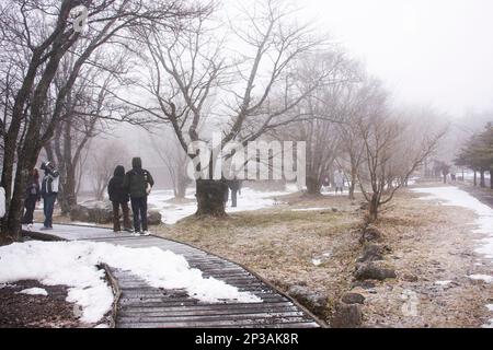 I coreani e i viaggiatori stranieri visitano il giardino naturale sul vulcano Hanla Mountain o il Monte Halla nel Parco Nazionale Hallasan, mentre la neve cade Foto Stock