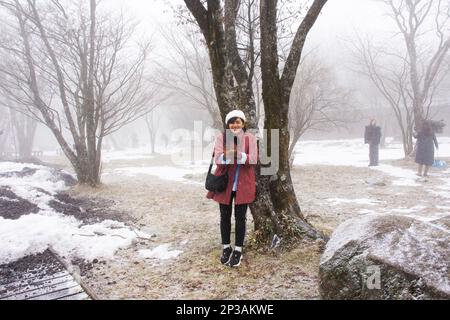 Viaggiatori le donne tailandesi visitano e posano un ritratto con la neve che cade nella foresta sul vulcano della montagna Hanla o sul Monte Halla in Hallasan National Foto Stock