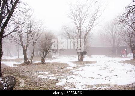 I coreani e i viaggiatori stranieri visitano il giardino naturale sul vulcano Hanla Mountain o il Monte Halla nel Parco Nazionale Hallasan, mentre la neve cade Foto Stock