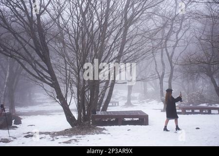 I coreani e i viaggiatori stranieri visitano il giardino naturale sul vulcano Hanla Mountain o il Monte Halla nel Parco Nazionale Hallasan, mentre la neve cade Foto Stock