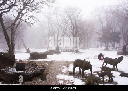 Statua dei cervi e neve che cade nella foresta sul vulcano Hanla Mountain o il Monte Halla nel Parco Nazionale di Hallasan per i viaggiatori coreani visitare Foto Stock