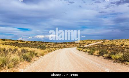 Safari su strada di ghiaia in uno scenario di macchia nel parco di Kgalagadi, Sud Africa Foto Stock