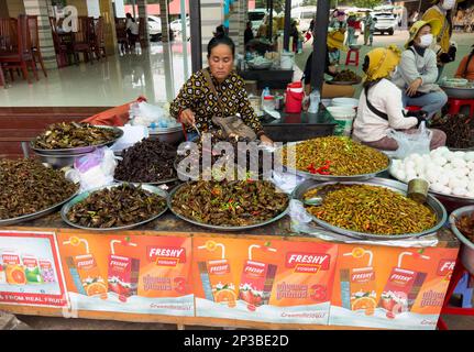 Grandi ciotole di cavallette saltate, ragni, larve di baco da seta e altri insetti in vendita al mercato degli insetti di Skun in Cambogia. Foto Stock