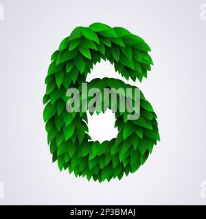 Numero 6 di foglie verdi. Illustrazione vettoriale Illustrazione Vettoriale