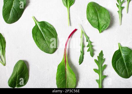 Modello di insalata mista foglie, rucola, spinaci, bietola su sfondo grigio. Foto Stock
