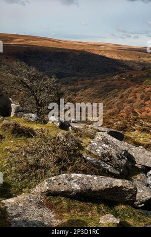 Dartmoor paesaggio; valle del fiume Dart e brughiera circostante; Dartmoor; Devon Foto Stock