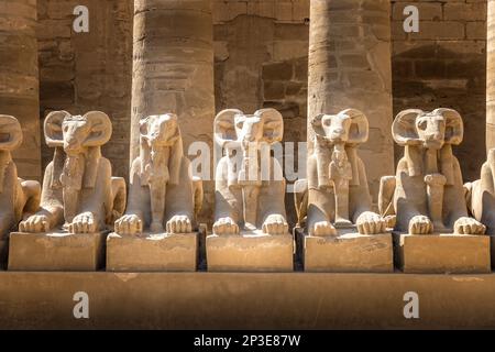 Viale dei montoni nel tempio di Karnak, Luxor Egitto Foto Stock