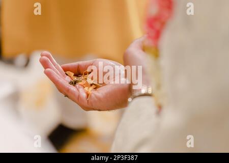 Lo sposo indiano tiene in mano petali di fiori gialli, cerimonia tradizionale Foto Stock