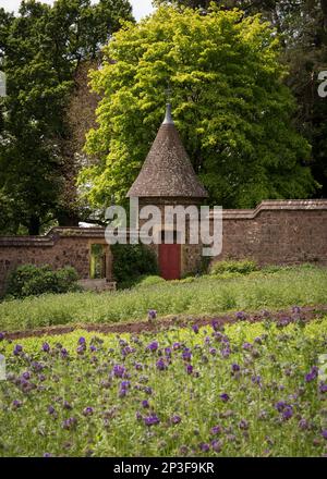 Vista dell'interno del giardino della cucina al Knightshayes Estate a Devon, Inghilterra, Regno Unito, con lavanda e negozio di giardinieri turretti Foto Stock