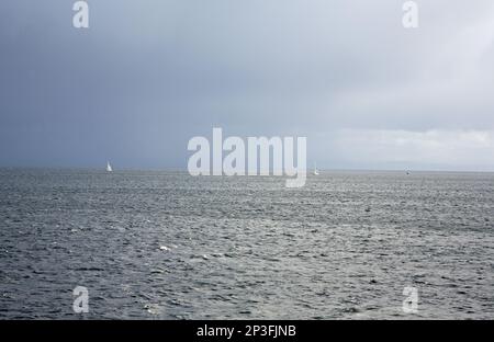 Barche a vela a vela nel Firth of Clyde visto dal traghetto Caledonian Isles vela tra Brodick sull'isola di Arran e Ardrossan Foto Stock