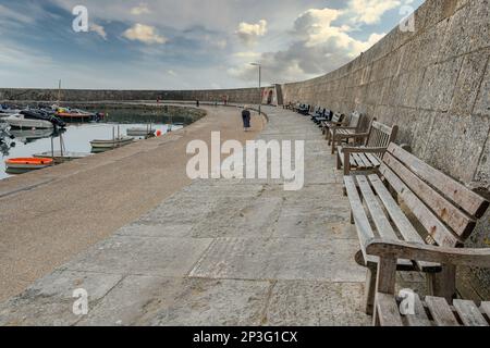 Panchine di legno vuote lungo la barriera frangiflutti Cobb, Lyme Regis, Dorset, Inghilterra, UK Foto Stock