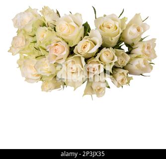 Mazzo di rose bianche isolate su bianco con tracciato di ritaglio incluso, risorsa grafica con spazio di copia Foto Stock