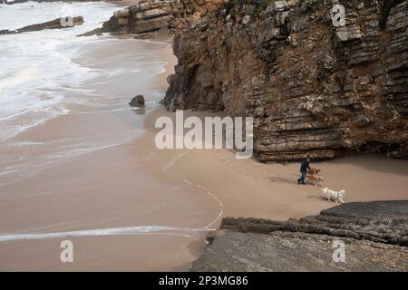 Dog walker sulla spiaggia di Praia da Arriba sull'Oceano Atlantico, Areia, vicino Cascais, Sintra Cascais Parco Naturale, Regione di Lisbona, Portogallo, Europa Foto Stock